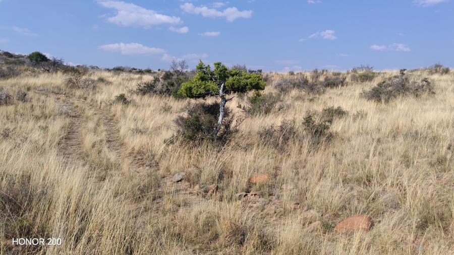 0 Bedroom Property for Sale in Cradock Eastern Cape